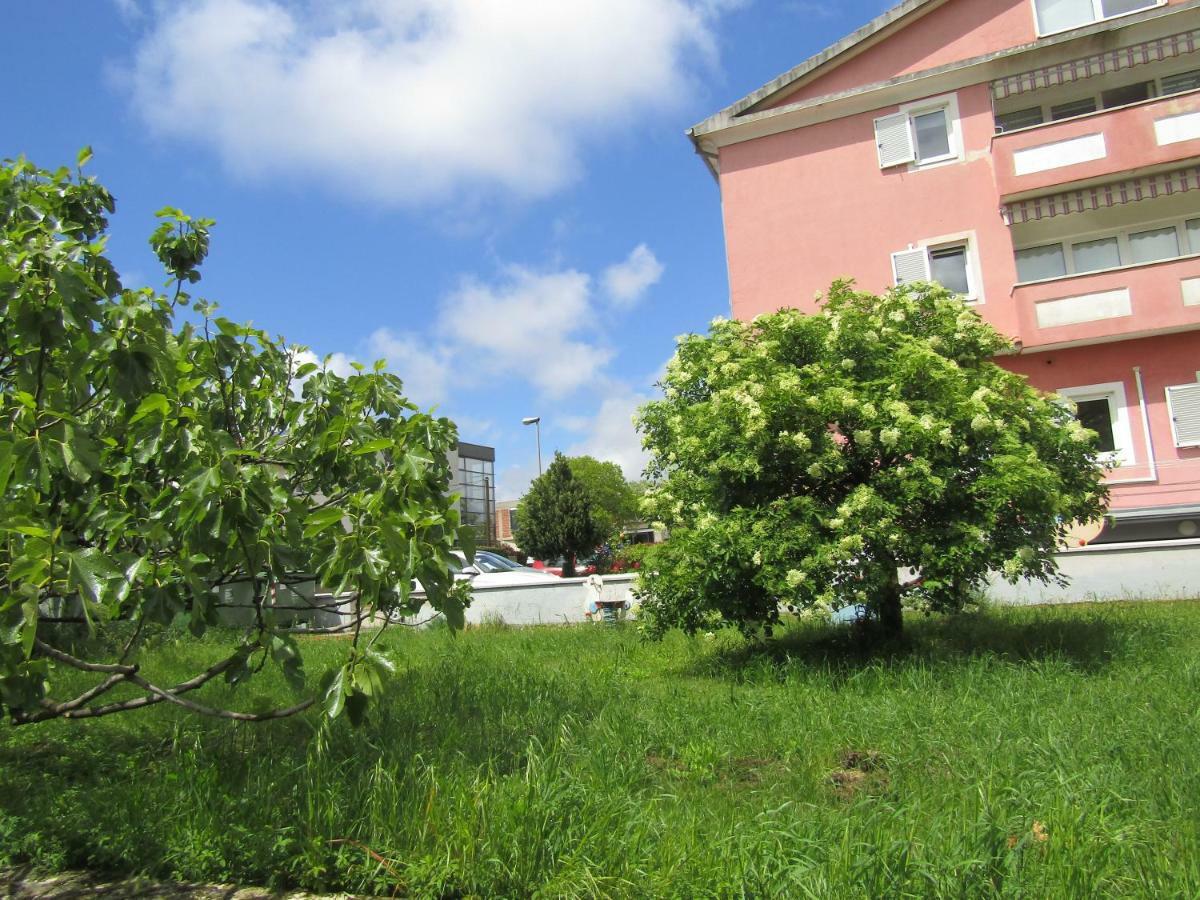 Green Garden Apartments Rovinj Eksteriør billede