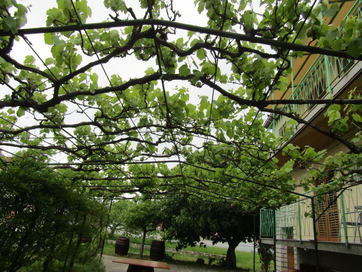 Green Garden Apartments Rovinj Eksteriør billede